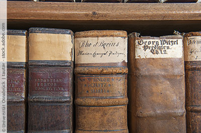 Mehrere alte Bücher stehen in einem Regal.